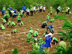 Vietnam berkomitmen melaksanakan aktivitas menghadapi perubahan iklim - ảnh 1