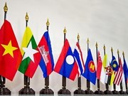 Pembukaan Forum Rakyat ASEAN 2014 di Myanmar - ảnh 1