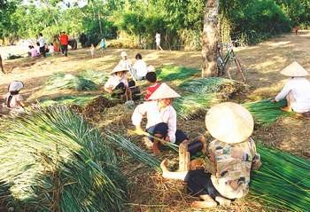 Desa menemun tikar tradisional Nga Son - ảnh 2