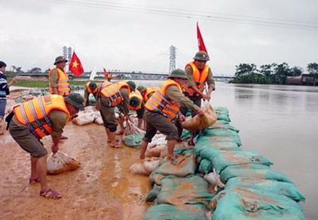 Bersama- sama bertindak untuk mencegah dan menaggulangi taupan, banjir dan memitigasi bencana alam - ảnh 1