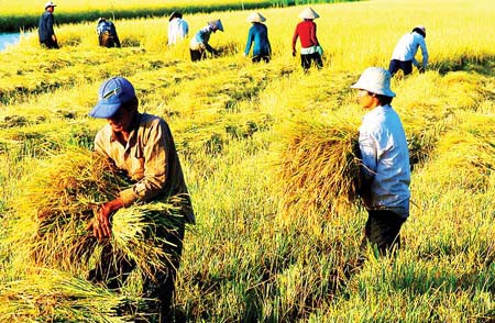 Penjelasan tentang  daerah dataran rendah sungai Mekong - ảnh 1