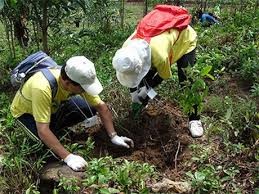 Melakukan investasi untuk menghadapi perubahan iklim di Vietnam - ảnh 1