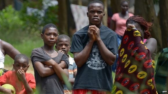 Jumlah pengidap virus Ebola di Liberia turun secara  drastis - ảnh 1