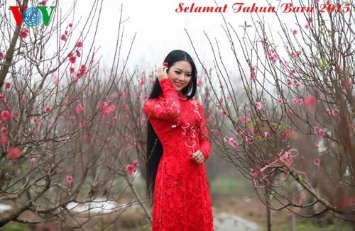 Selamat Tahun Baru 2015 - ảnh 1