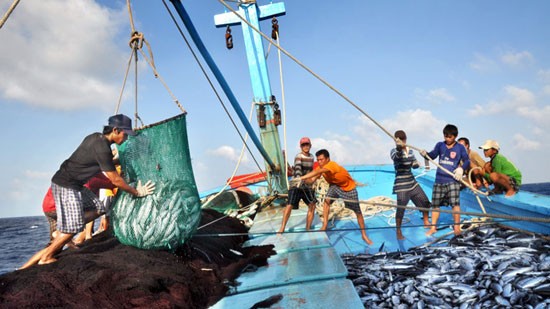 Memberikan bingkisan dan membantu nelayan yang menjumpai kecelakaan  di wilayah laut Hoang Sa - ảnh 1