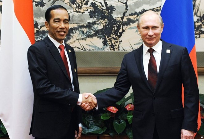  Indonesia dan Rusia berkomitmen memperkuat kerjasama bilateral - ảnh 1