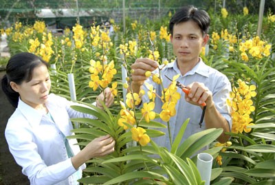 Mengumumkan Laporan Nasional tentang Lingkungan Hidup  tahun 2014 : “Lingkungan Hidup Pedesaan”. - ảnh 1