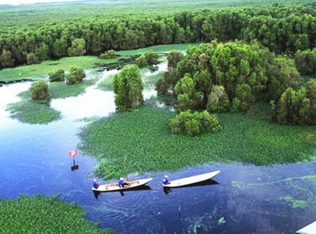 Lokakarya mengenai Pengembangan sosial-ekonomi kawasan Dataran Rendah sungai Mekong tahap 2016-2020 - ảnh 1