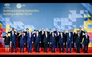 Pembukaan KTT ke-23 Forum Kerjasama Ekonomi Asia-Pasifik (APEC) - ảnh 1