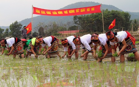 Penjelasan mengenai Pesta Long Tong (atau Pesta turun ke sawah)  - ảnh 2