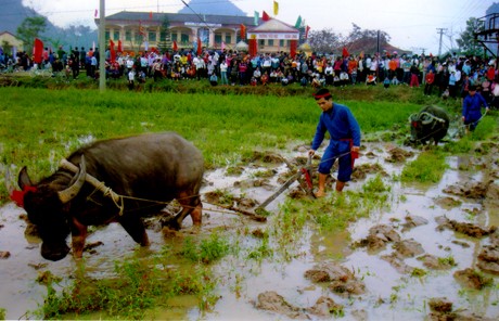 Penjelasan mengenai Pesta Long Tong (atau Pesta turun ke sawah)  - ảnh 1