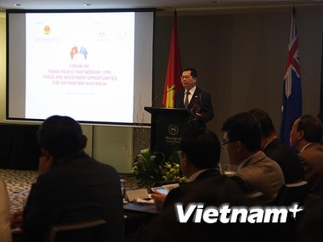 Vietnam-Selandia Baru memperhebat  kesempatan melakukan kerjasama  dan investasi - ảnh 1