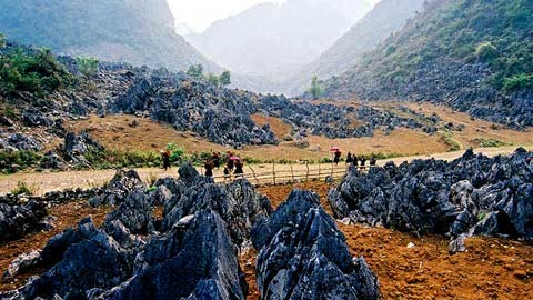 Melakukan konektivitas untuk mengembanghkan nilai semua pusaka-pusaka Viet Bac - ảnh 1