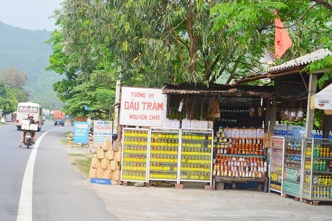 Datang di daerah Hue: Mengunjungi desa produksi minyak kayu putih Loc Thuy - ảnh 2