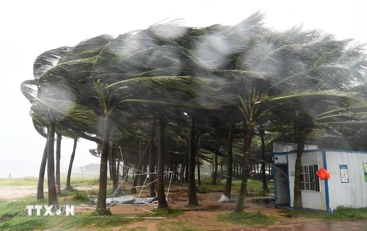 Super typhon Yagi: Une tempête automnale record en Chine - ảnh 1