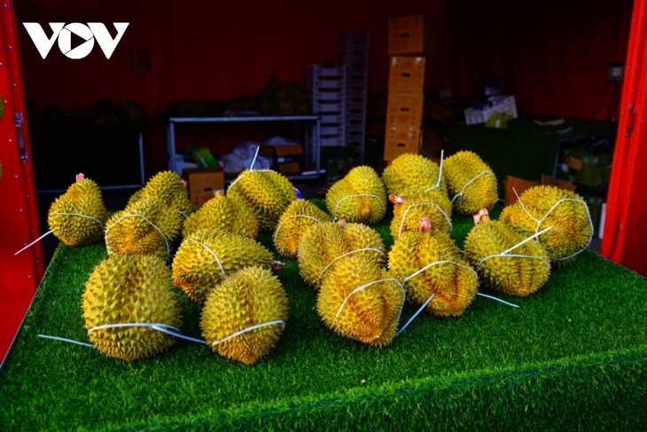 Les durians vietnamiens conquièrent les marchés internationaux - ảnh 1