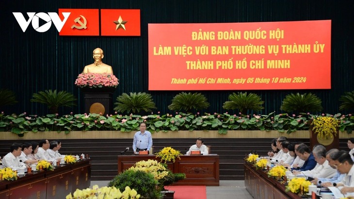 Trân Thanh Mân travaille avec la permanence du Comité du Parti de Hô Chi Minh-Ville - ảnh 1