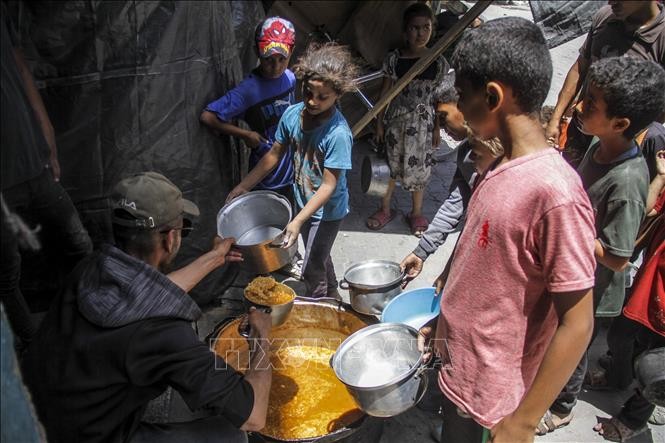 L'ONU met en garde contre un risque de famine à Gaza - ảnh 1