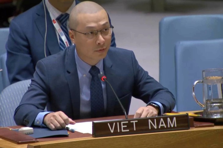 Le Vietnam défend les droits des femmes à l’ONU - ảnh 1