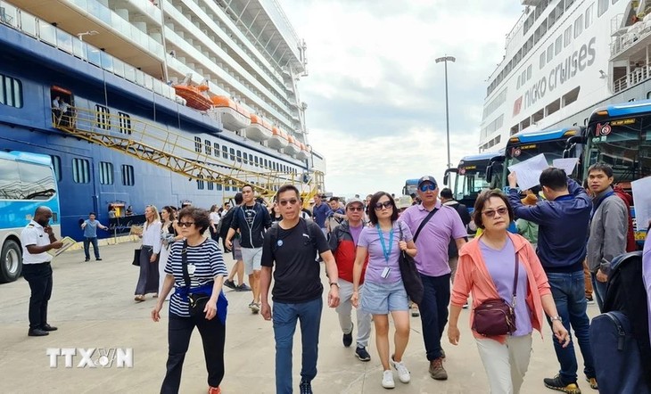 Le tourisme de croisière en plein essor à Quang Ninh - ảnh 1