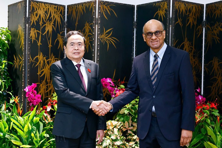 Trân Thanh Mân termine avec succès sa visite officielle à Singapour - ảnh 1