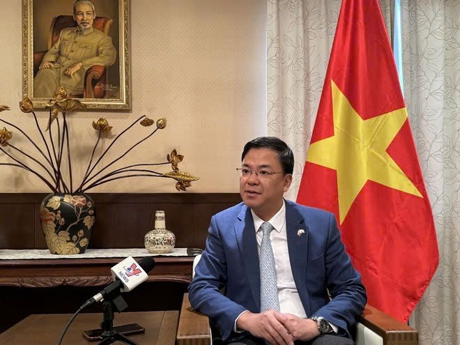 Créer une nouvelle dynamique pour les relations Vietnam-Japon - ảnh 3