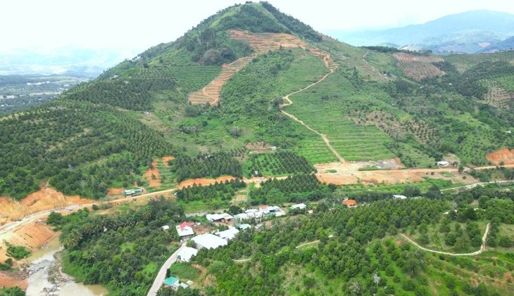 Bo Bo Kha, un exemple de réussite dans la production agricole à Khanh Hoà - ảnh 1