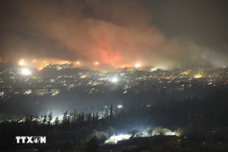 Syrie: Appel à la paix face à l’escalade militaire israélienne - ảnh 1