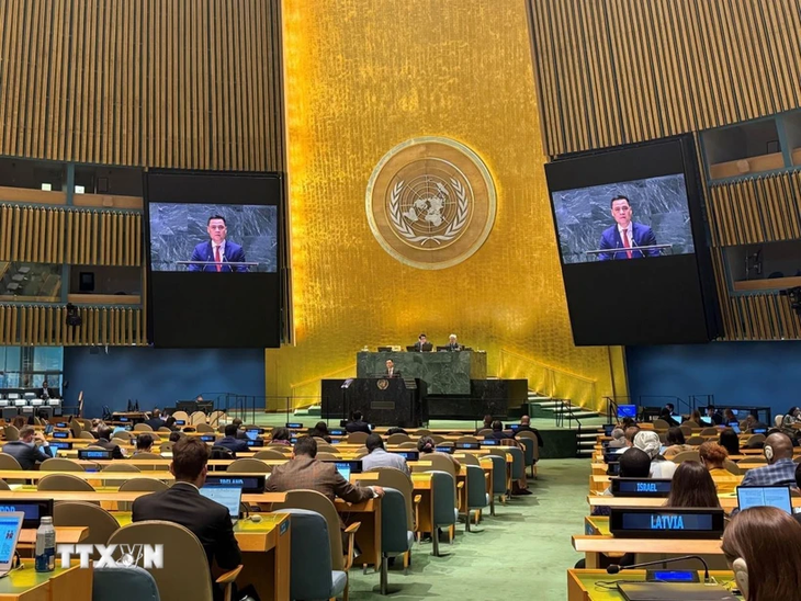 À l’ONU, le Vietnam appelle à un respect intégral de l'UNCLOS  - ảnh 1