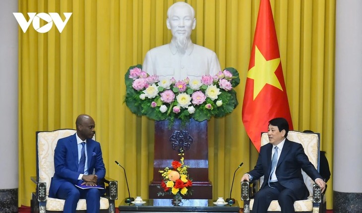 Vietnam-Togo: un demi-siècle d’amitié diplomatique célébré à Hanoi  - ảnh 1