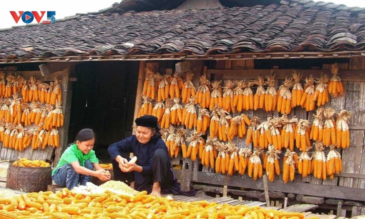 Quynh Son: un village tourné vers le sud, une culture tournée vers l’avenir - ảnh 1