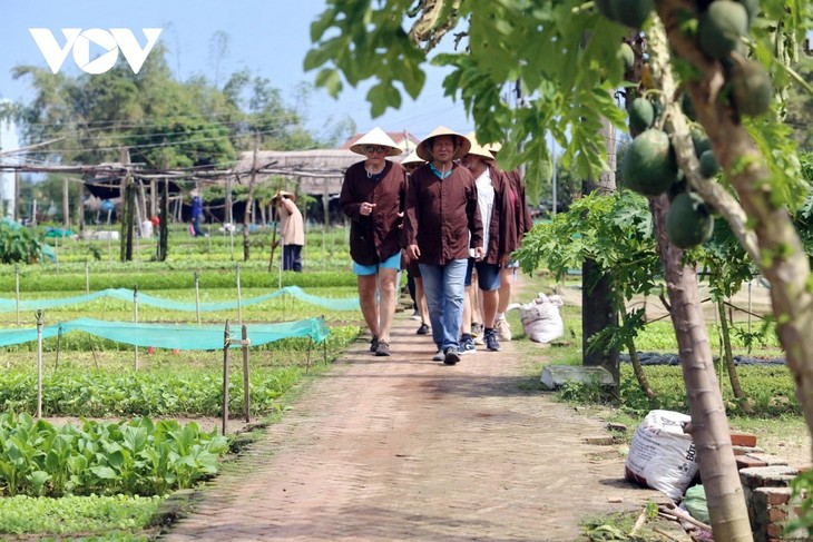 Le Vietnam facilite l’entrée des touristes polonais, tchèques et suisses avec une exemption de visa - ảnh 1