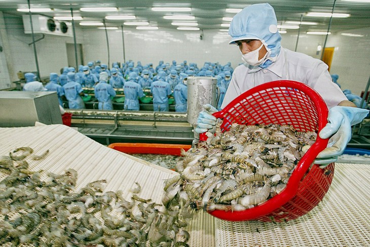 La Chine devient le premier importateur de crevettes vietnamiennes - ảnh 1