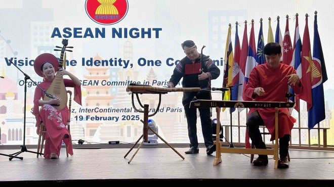 Le Vietnam apporte sa touche culturelle à la “Nuit de l'ASEAN” en France - ảnh 1