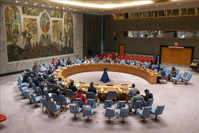 L’ONU appelle à une solution durable au conflit à Gaza - ảnh 1