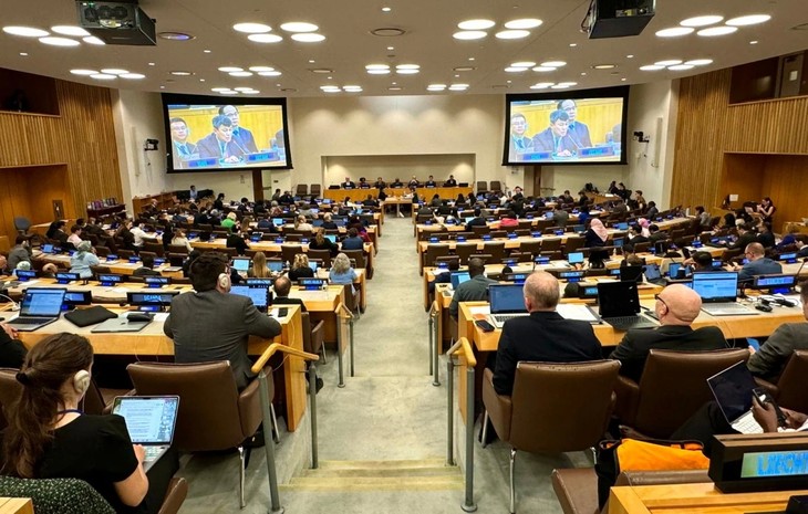 Le Vietnam brigue la présidence de la 35e Conférence des États parties à la Convention de l’ONU sur le droit de la mer - ảnh 1