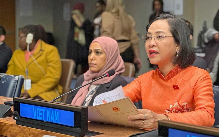 Le Vietnam propose trois priorités pour l’égalité des sexes à l’ONU - ảnh 1