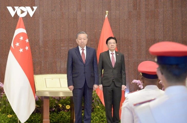 Tô Lâm reçu par le Premier ministre singapourien Lawrence Wong  - ảnh 1