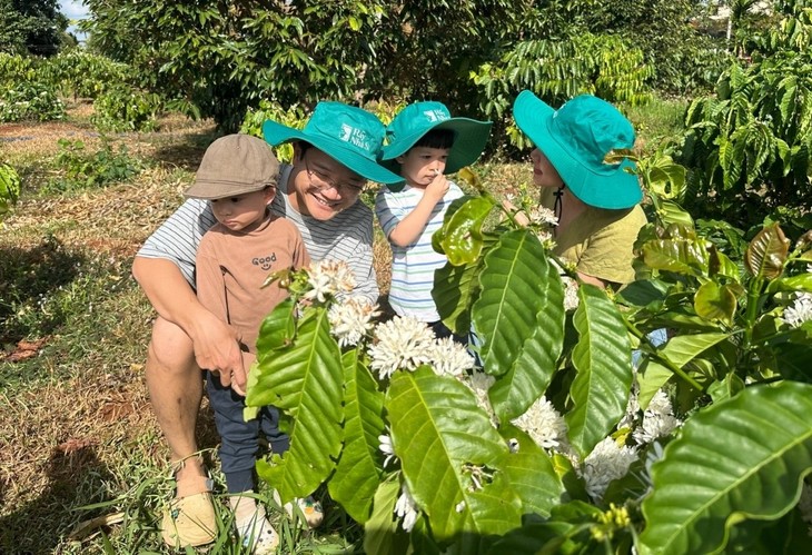 Dak Lak: plongée au cœur des fermes de café pas comme les autres - ảnh 1