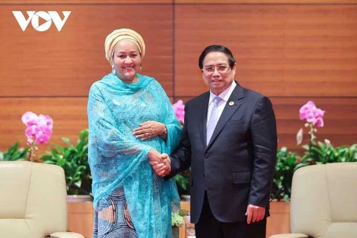 Pham Minh Chinh rencontre Amina Mohammed - ảnh 1
