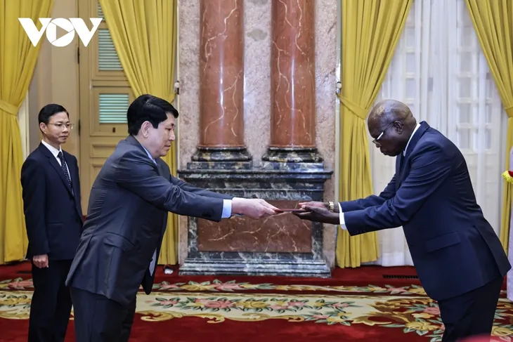 Luong Cuong reçoit des ambassadeurs  - ảnh 4