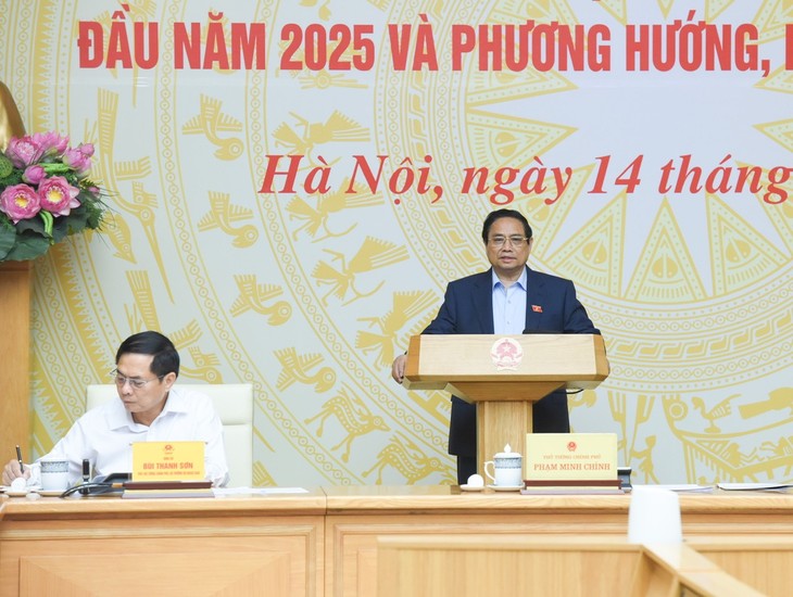 Lutte contre la contrefaçon: le Premier ministre lance une opération nationale de grande ampleur - ảnh 1