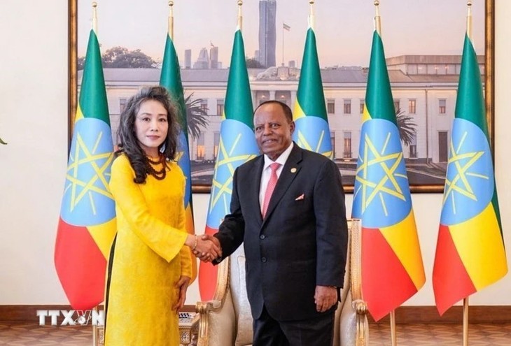 Le Vietnam renforce ses relations avec l’Éthiopie  - ảnh 1