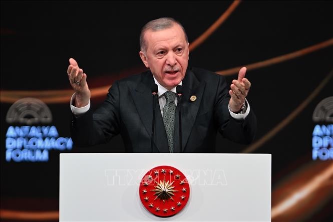 La Turquie propose sa médiation entre Kiev et Moscou  - ảnh 1