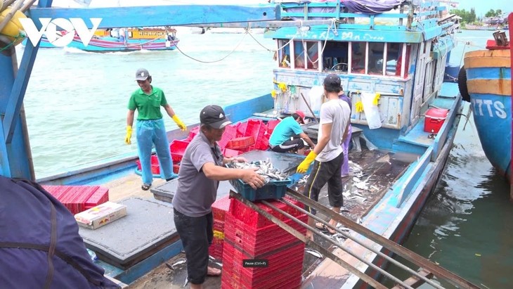 La législation vietnamienne garantit une lutte efficace et durable contre la pêche illégale  - ảnh 1