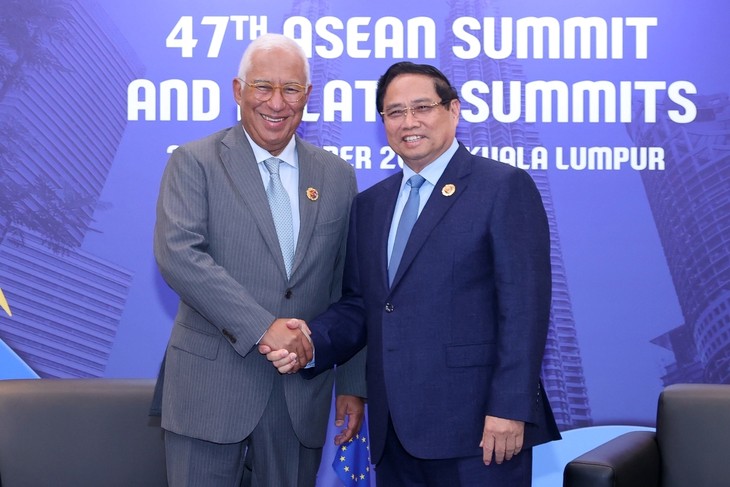 Pham Minh Chinh plaide pour une feuille de route afin de renforcer les relations Vietnam–UE - ảnh 1