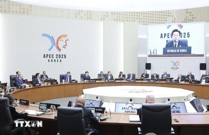 APEC 2025: clôture d’un sommet tourné vers l’ère de l’IA et les défis démographiques - ảnh 1