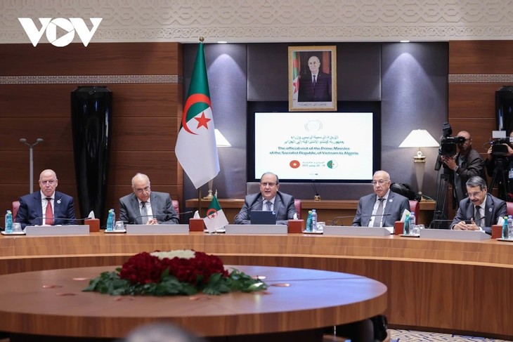 Le Vietnam et l’Algérie élèvent leurs relations au rang de partenariat stratégique - ảnh 3