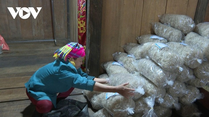 Thai Nguyên: quand les femmes Nùng perpétuent l’art ancestral des vermicelles de tolomane - ảnh 4