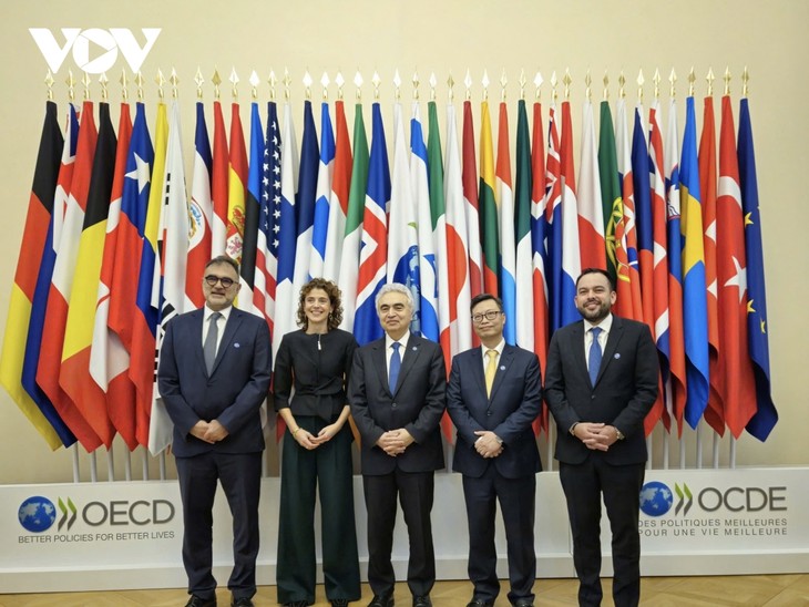 Le Vietnam devient officiellement pays associé de l’Agence internationale de l’énergie - ảnh 1